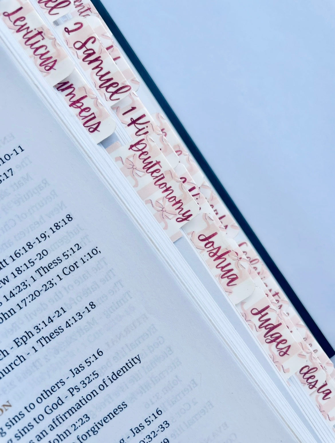 Pink Bow White Striped Bible Tabs: Waterproof Vinyl, 66 Books + Blank