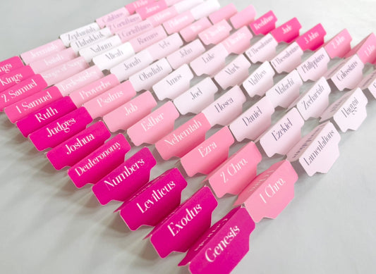 Pink Ombre Bible Tabs: Waterproof Vinyl, 66 Books + Blank